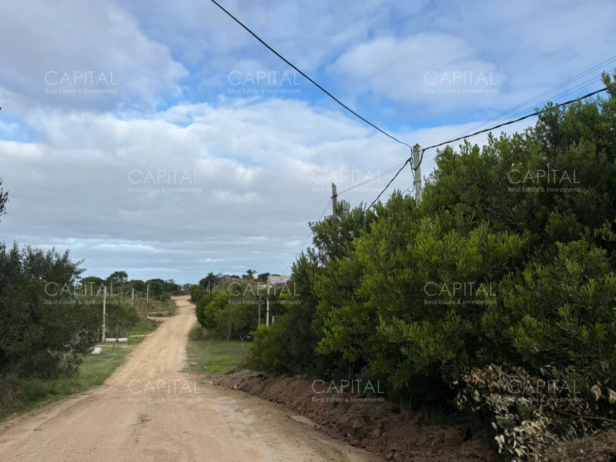 Terreno en El Chorro, propiedad 278311 -Imagen 2