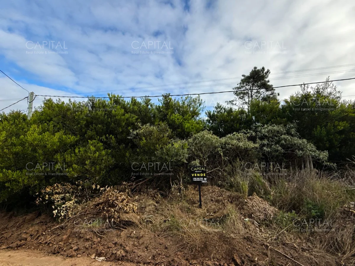 Terreno en El Chorro, propiedad 278311 -Imagen 5