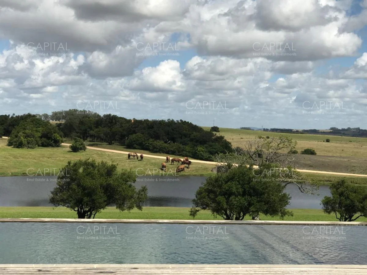 Chacra en José Ignacio, propiedad 278326 -Imagen 19