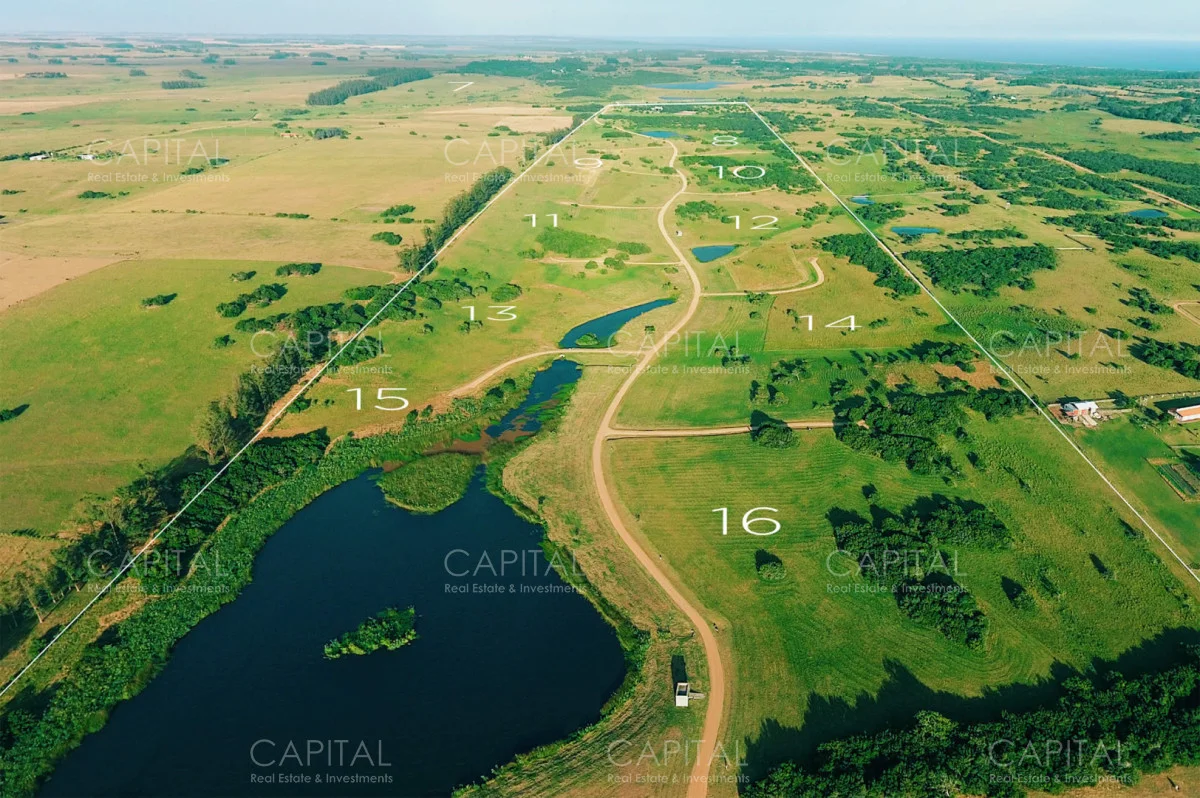 Chacra en José Ignacio, propiedad 278329 -Imagen 6