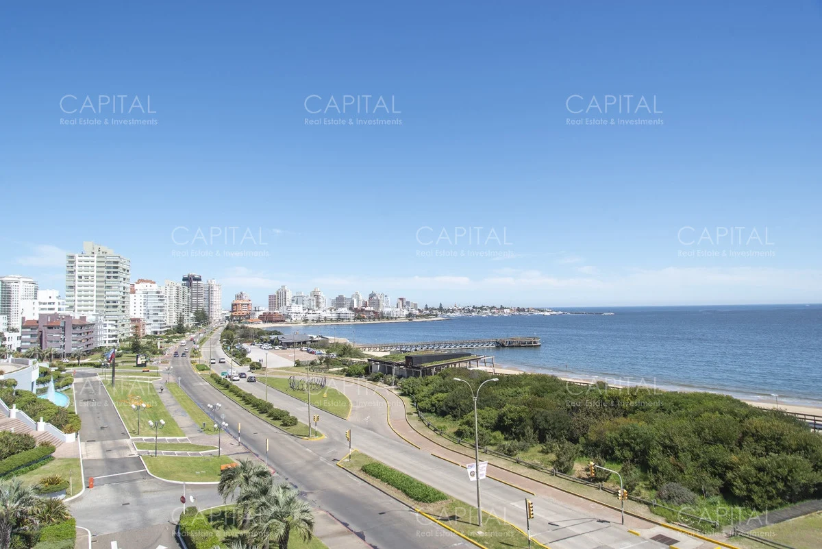 Apartamento en Playa Mansa, propiedad 278358 -Imagen 3