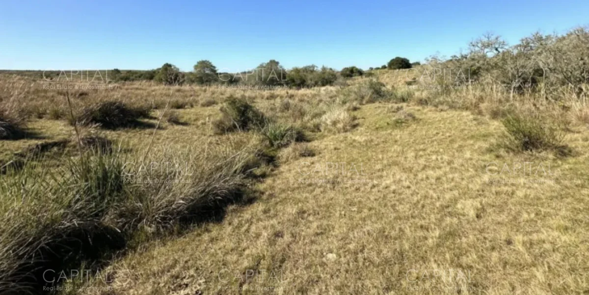 Chacra en Rural, propiedad 278377 -Imagen 1
