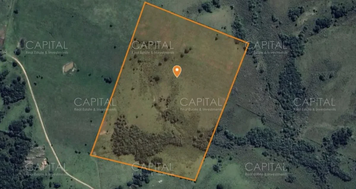 Chacra en Rural, propiedad 278377 -Imagen 2