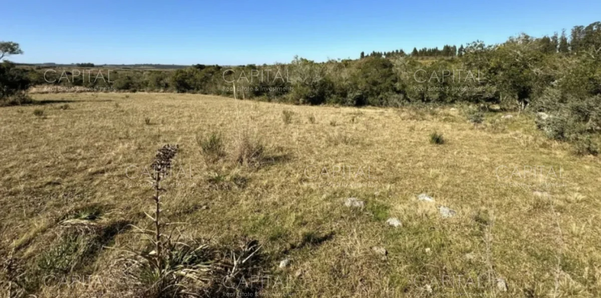 Chacra en Rural, propiedad 278377 -Imagen 3