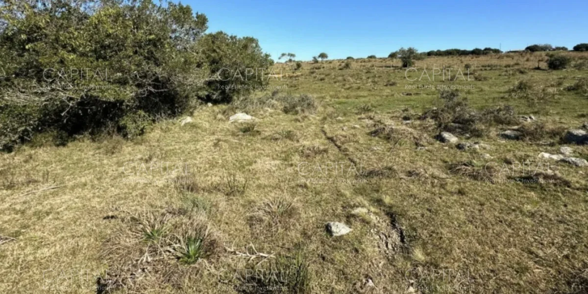 Chacra en Rural, propiedad 278377 -Imagen 4
