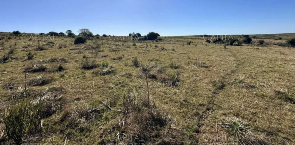 Chacra en Rural, propiedad 278377 -Imagen 5