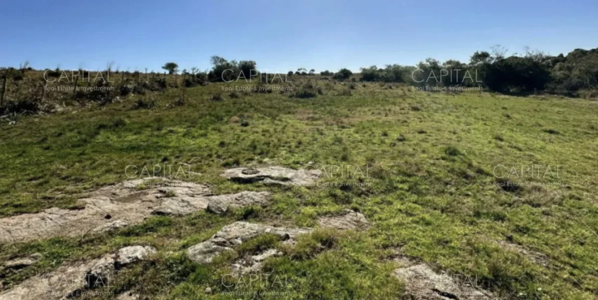 Chacra en Rural, propiedad 278377 -Imagen 6