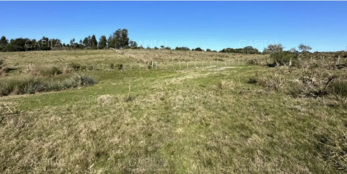 Chacra en Rural, propiedad 278377 -Imagen 7