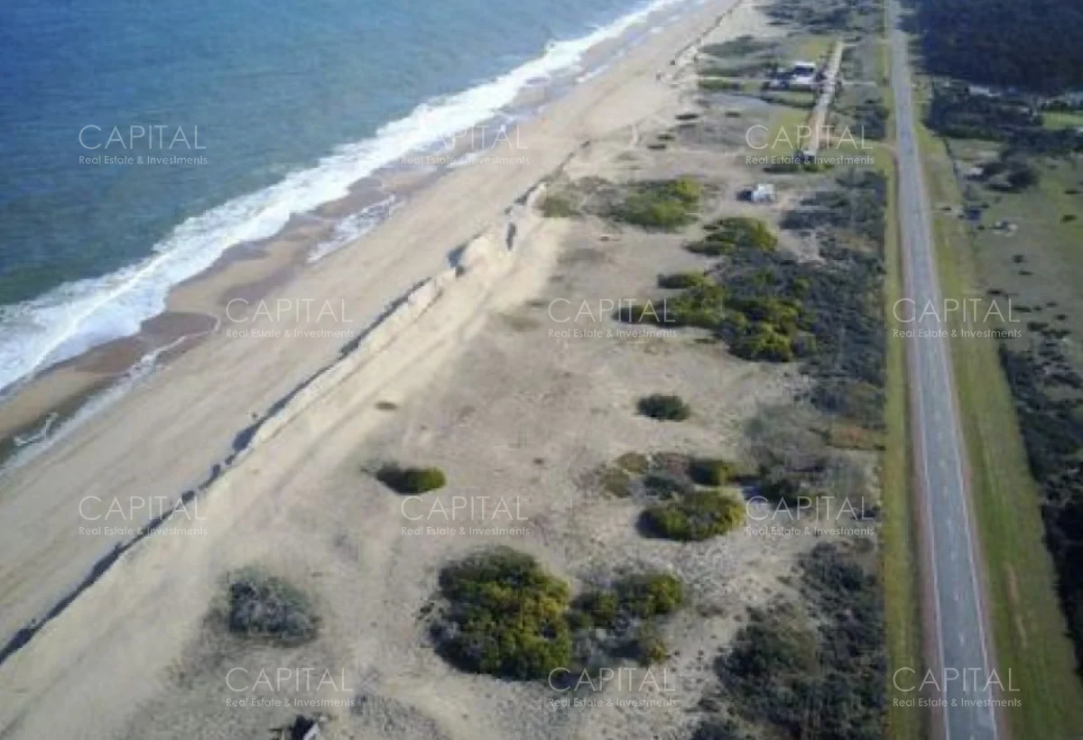 Terreno en San Vicente, propiedad 278380 -Imagen 5