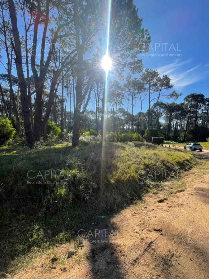 Terreno en Montoya, propiedad 278391 -Imagen 3