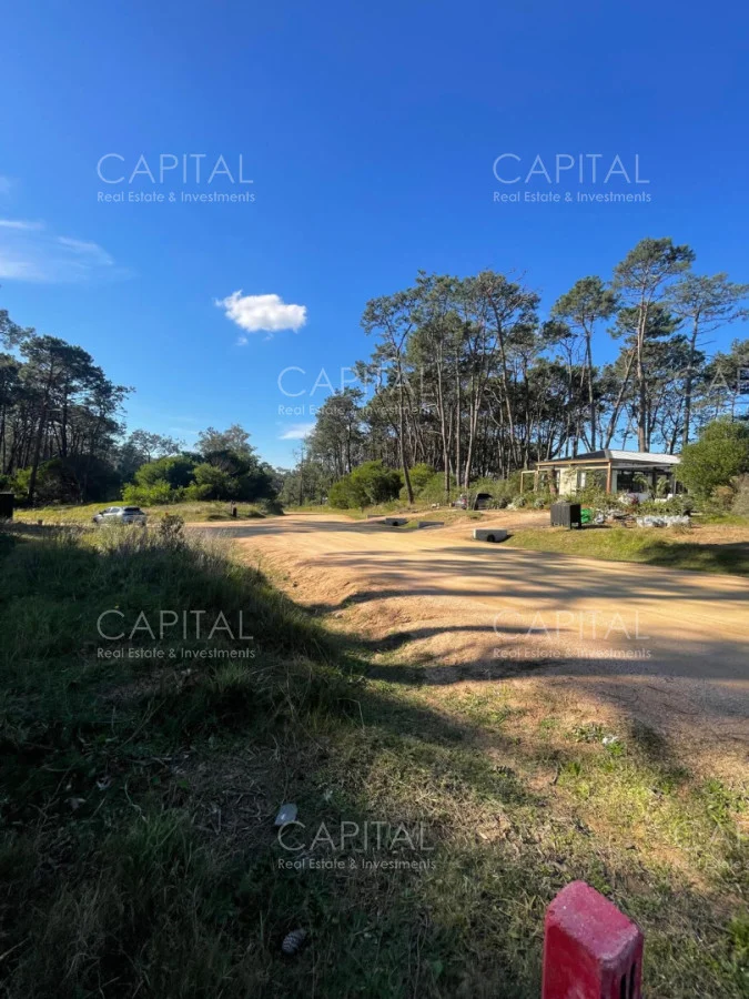 Terreno en Montoya, propiedad 278391 -Imagen 4