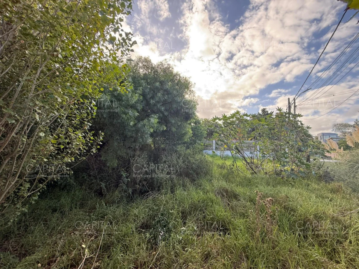 Terreno en El Chorro, propiedad 278407 -Imagen 2