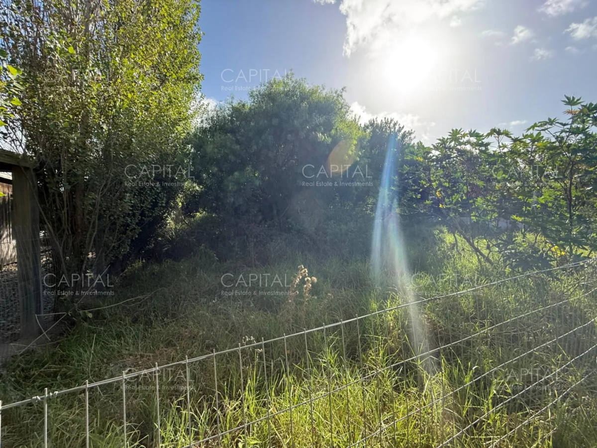 Terreno en El Chorro, propiedad 278407 -Imagen 3