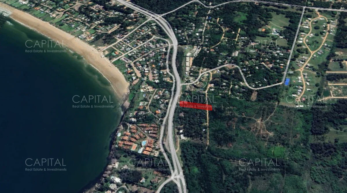 Terreno en Punta Ballena, propiedad 278410 -Imagen 2