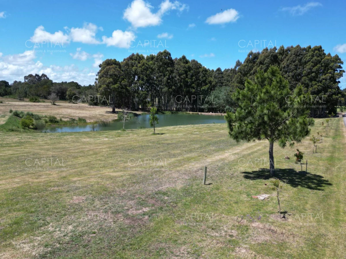 Terreno en Manantiales, propiedad 278414 -Imagen 4