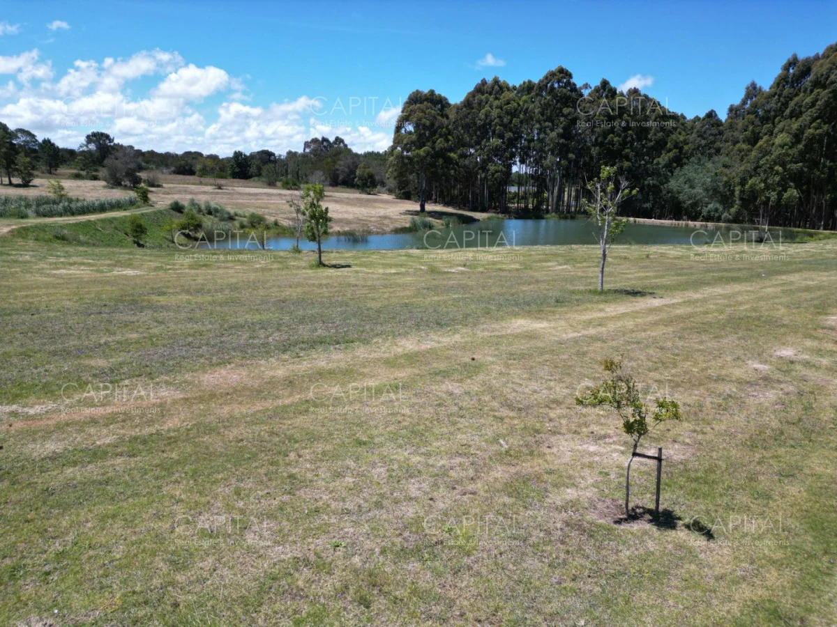 Terreno en Manantiales, propiedad 278414 -Imagen 7