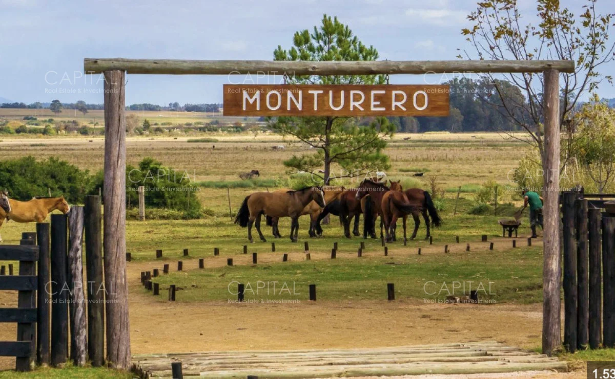 Terreno en La Barra, propiedad 278421 -Imagen 6