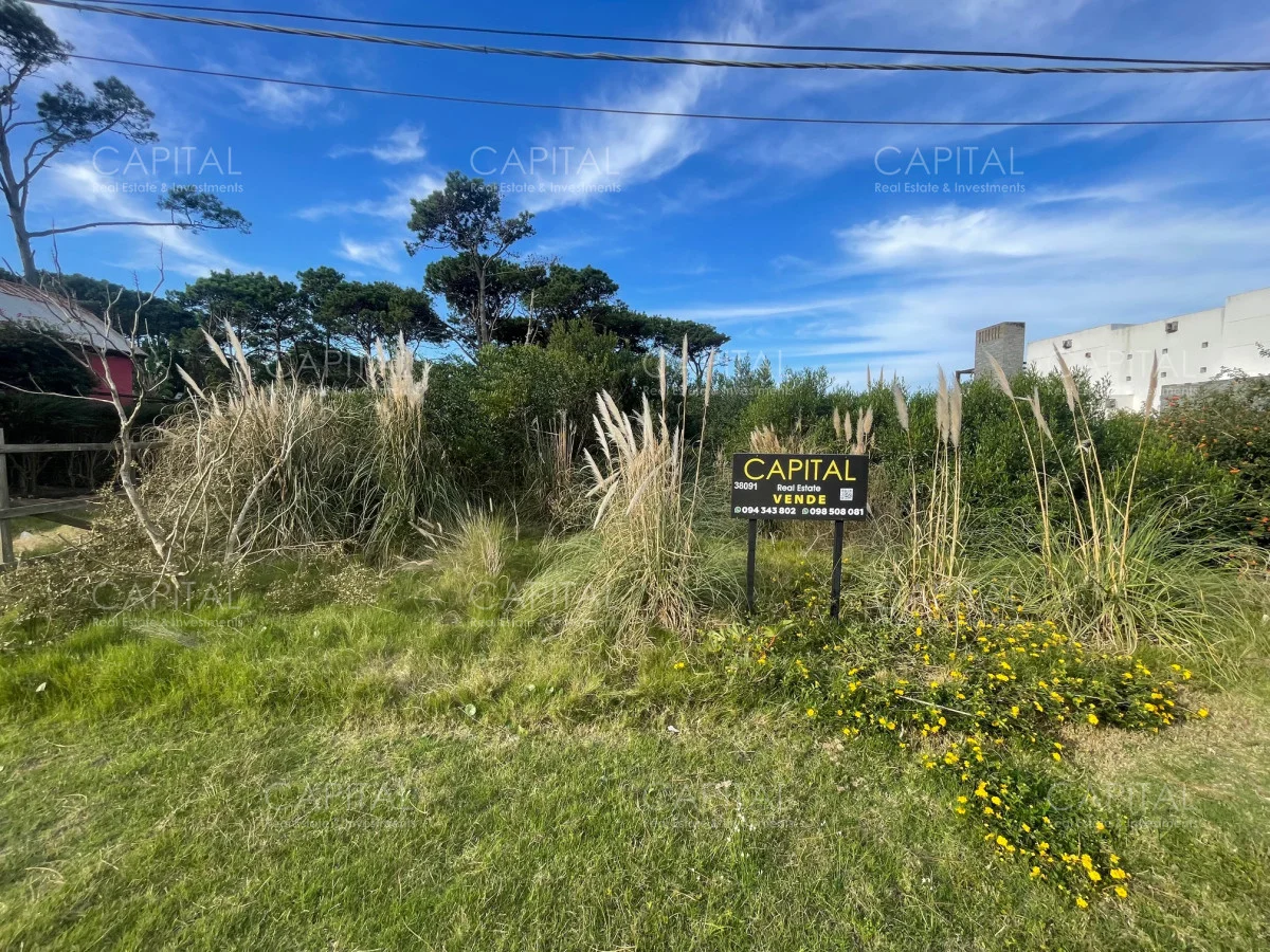Terreno en Montoya, propiedad 278447 -Imagen 1