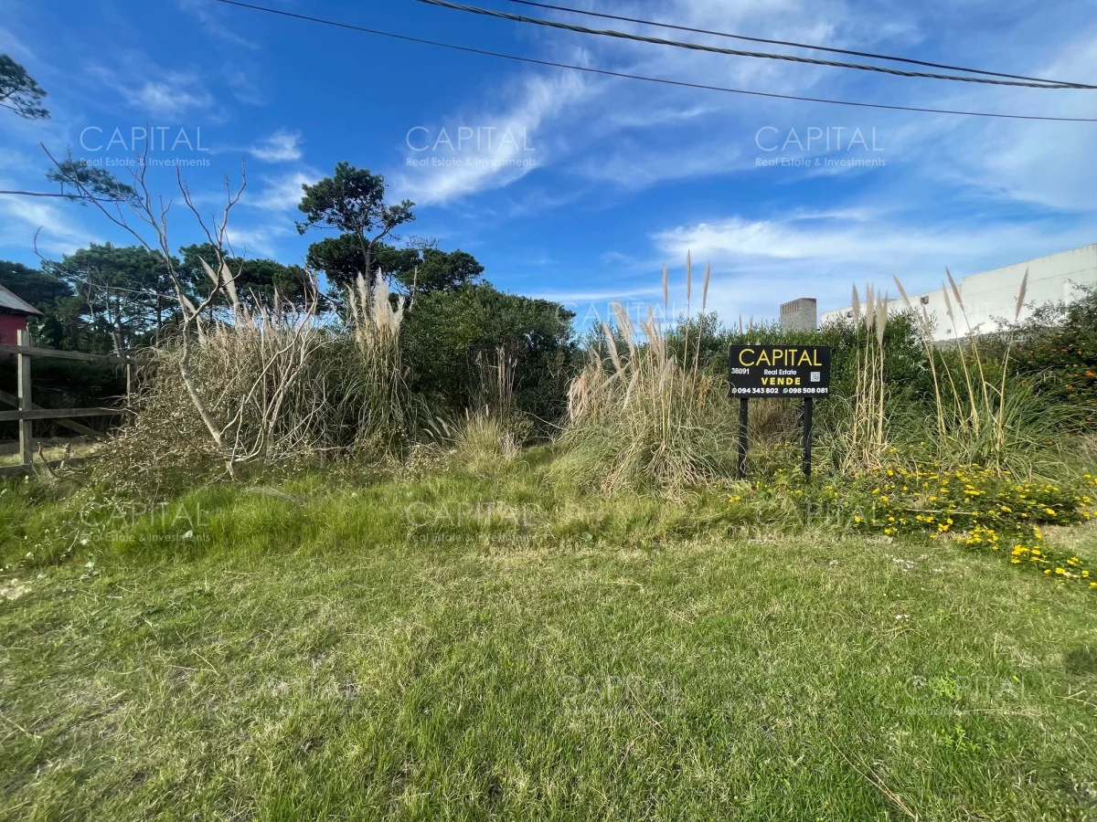 Terreno en Montoya, propiedad 278447 -Imagen 2
