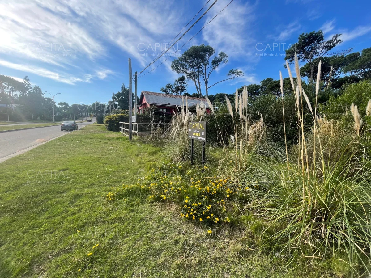 Terreno en Montoya, propiedad 278447 -Imagen 3