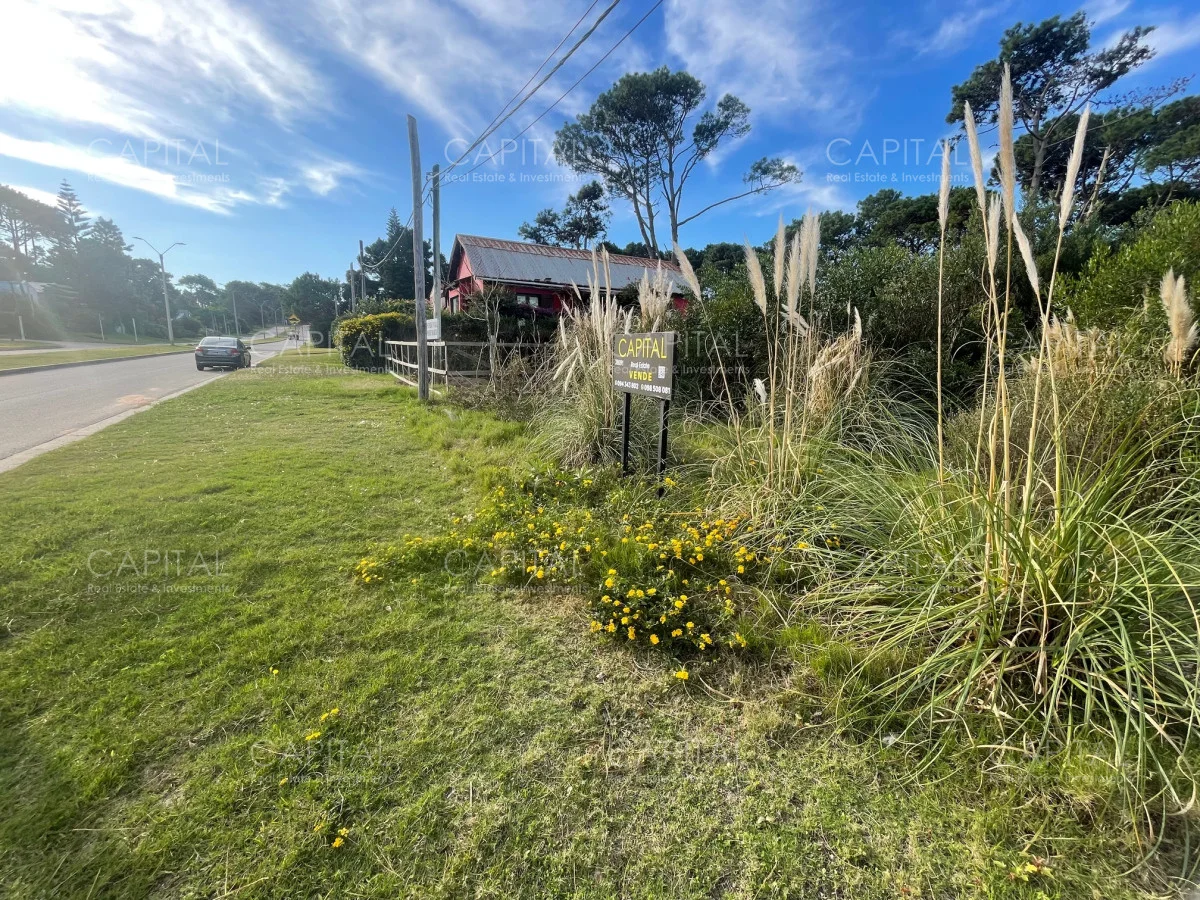 Terreno en Montoya, propiedad 278447 -Imagen 5