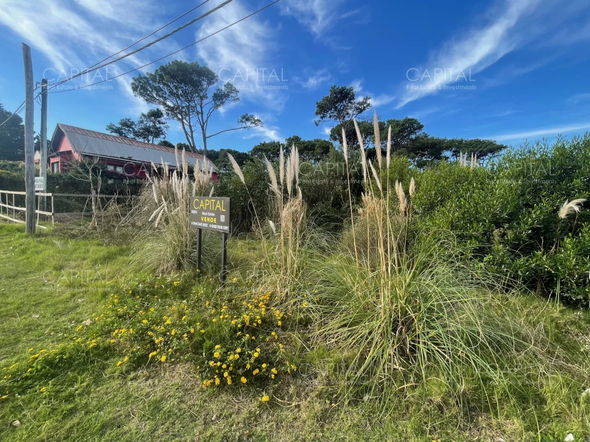 Terreno en Montoya, propiedad 278447 -Imagen 6