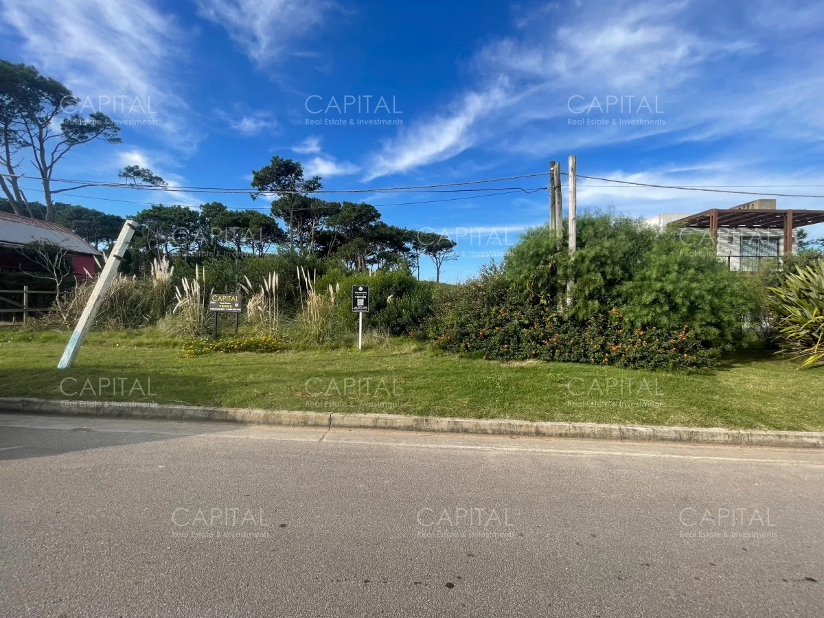 Terreno en Montoya, propiedad 278447 -Imagen 9