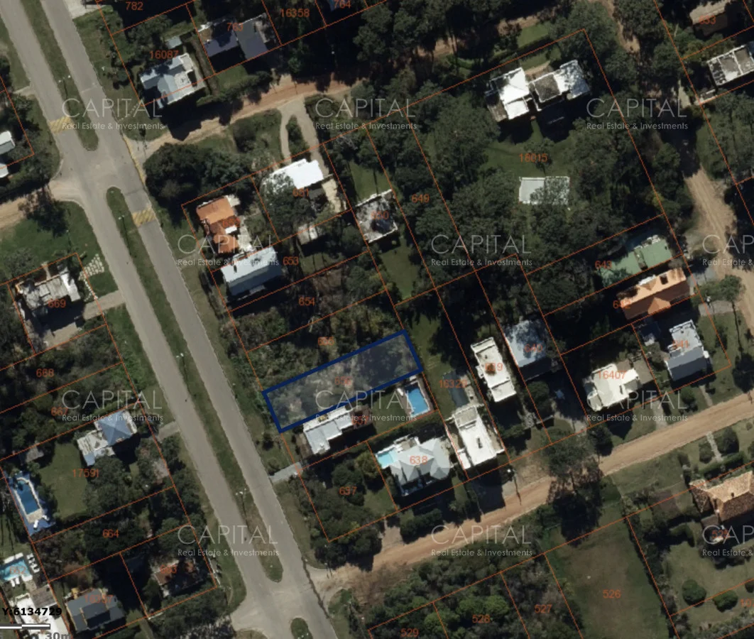 Terreno en Montoya, propiedad 278448 -Imagen 2
