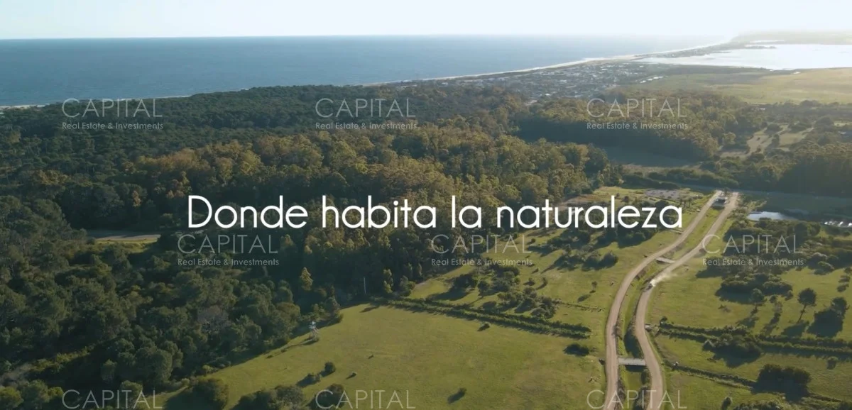 Terreno en José Ignacio, propiedad 278482 -Imagen 3