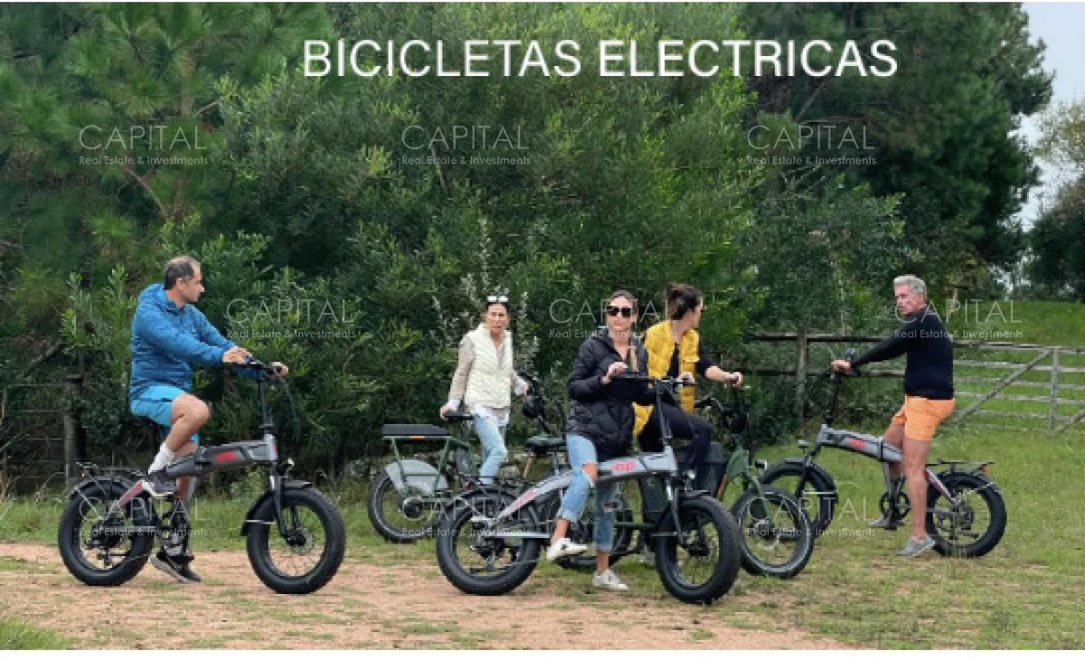 Terreno en José Ignacio, propiedad 278485 -Imagen 6