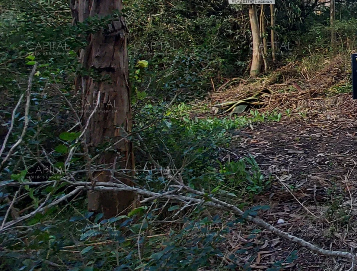 Terreno en La Barra, propiedad 278541 -Imagen 4