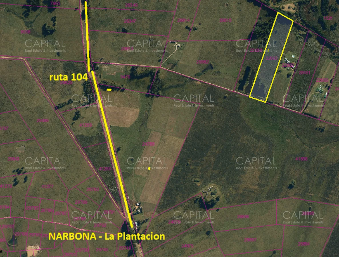 Chacra en Manantiales, propiedad 278558 -Imagen 3