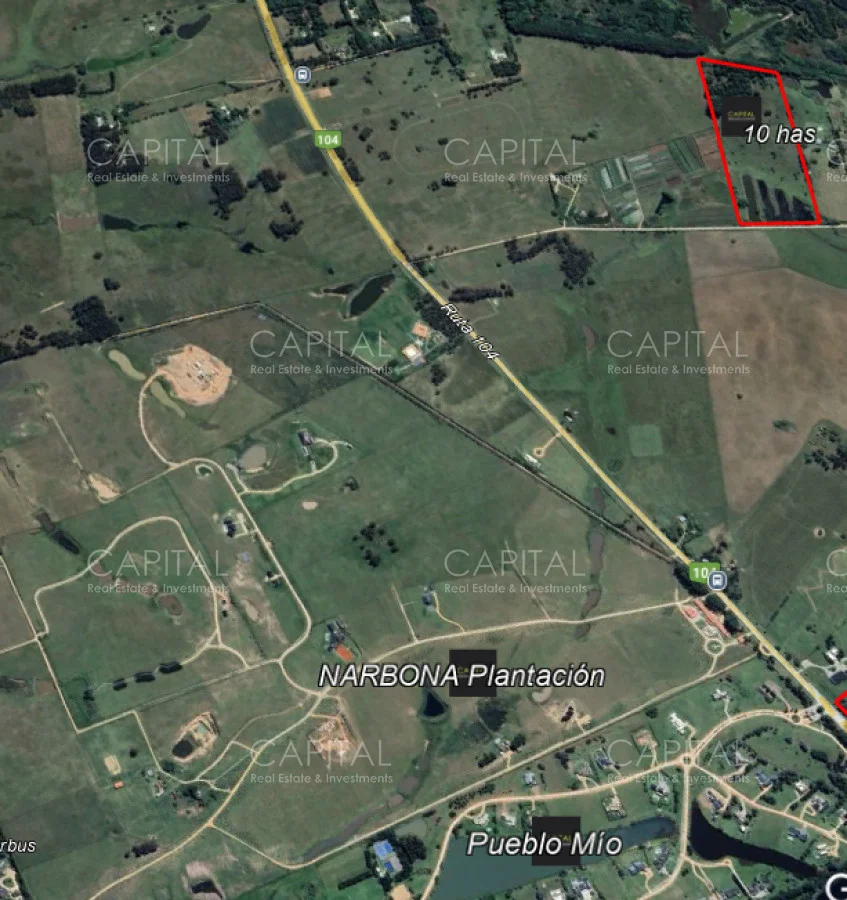 Chacra en Manantiales, propiedad 278559 -Imagen 4