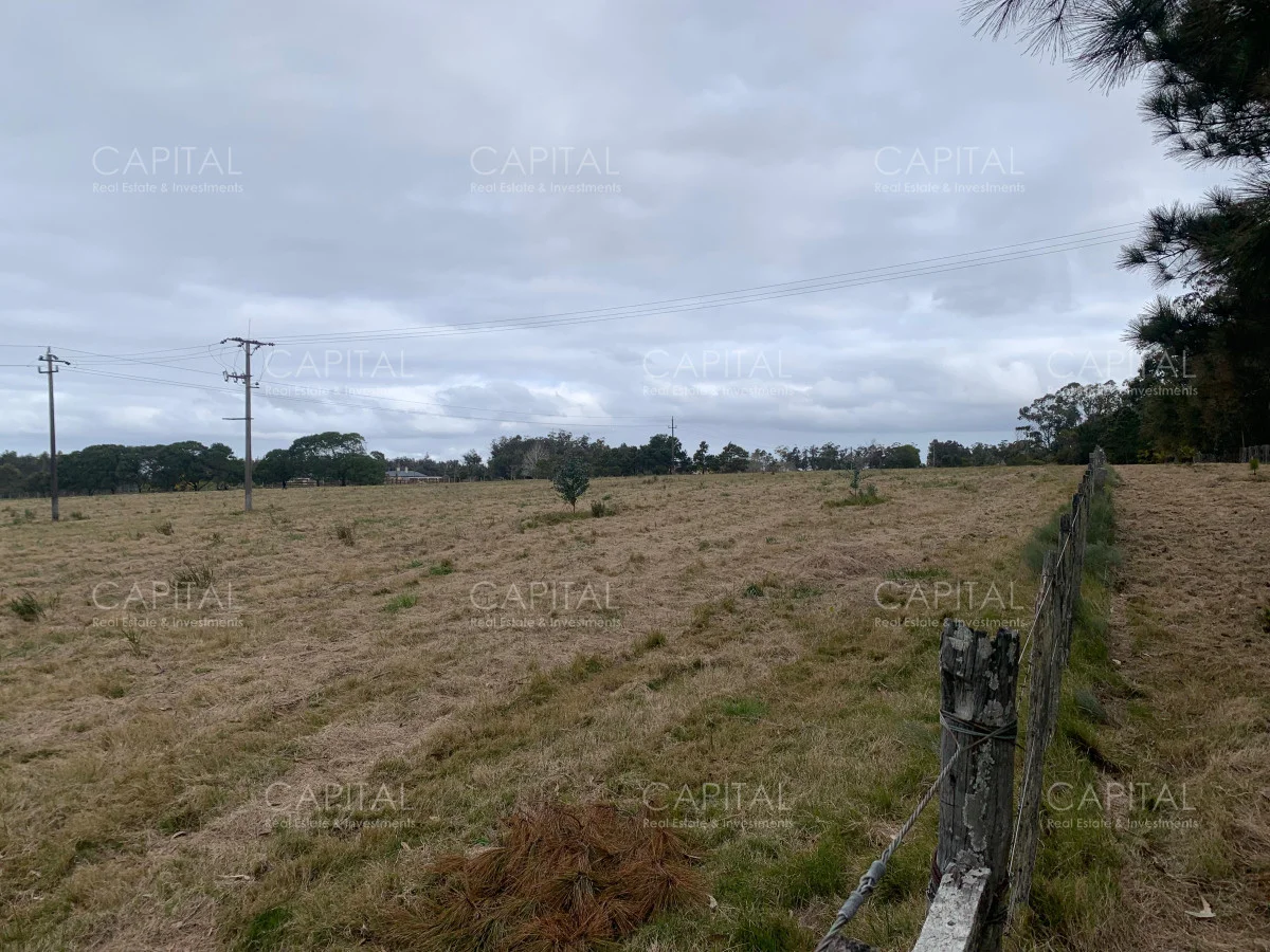 Chacra en Manantiales, propiedad 278569 -Imagen 5