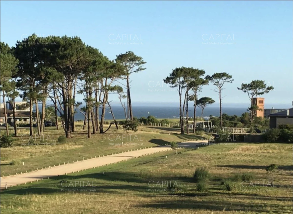 Terreno en Pinar del Faro, propiedad 278579 -Imagen 2