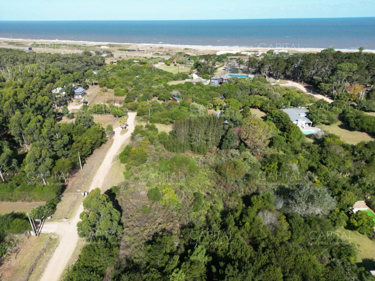 Terreno en San Vicente, propiedad 278590 -Imagen 2