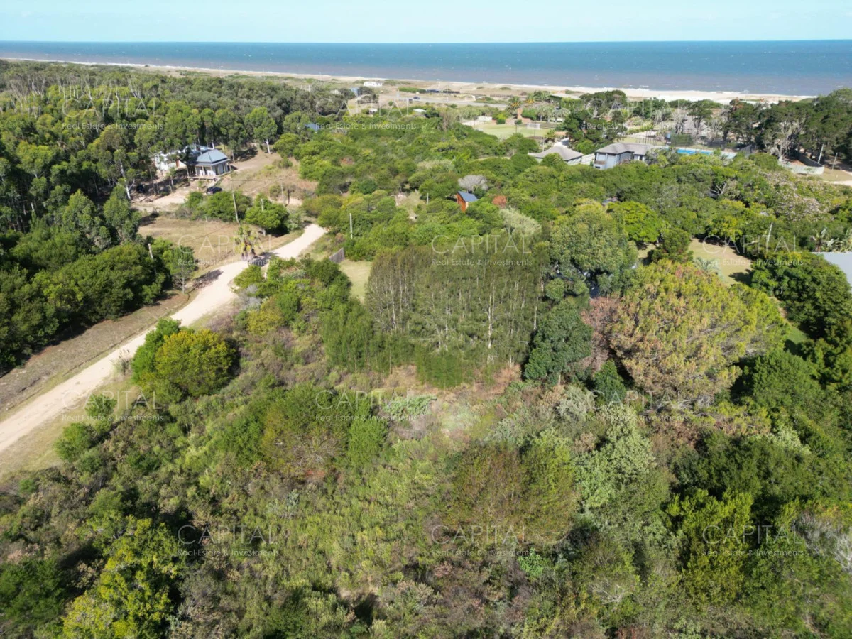 Terreno en San Vicente, propiedad 278590 -Imagen 3