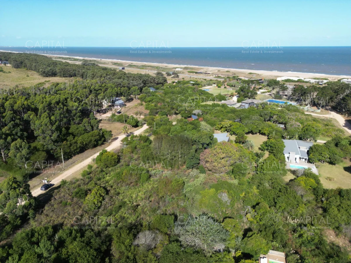 Terreno en San Vicente, propiedad 278590 -Imagen 5