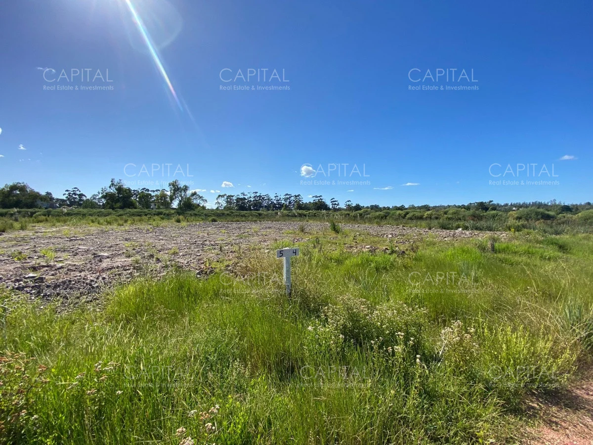 Terreno en La Barra, propiedad 278591 -Imagen 7