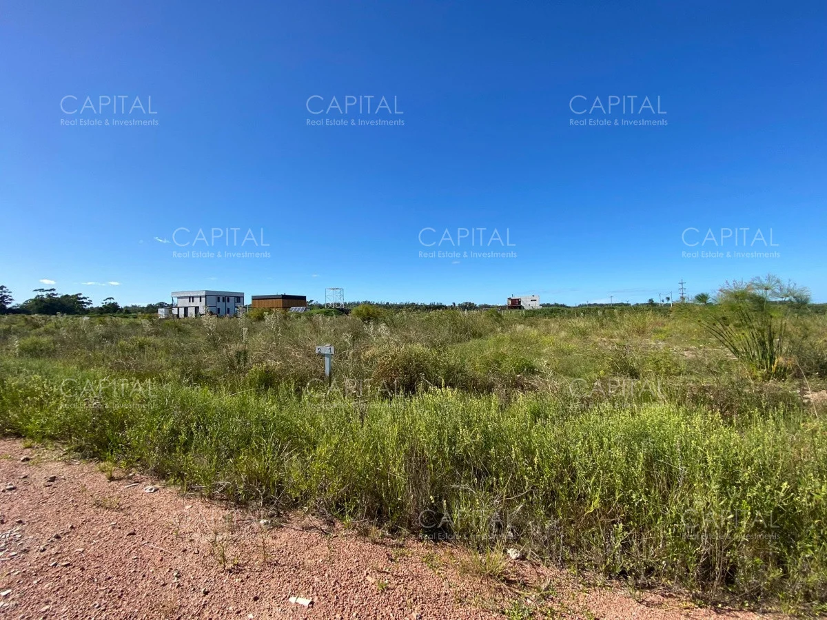 Terreno en La Barra, propiedad 278625 -Imagen 4