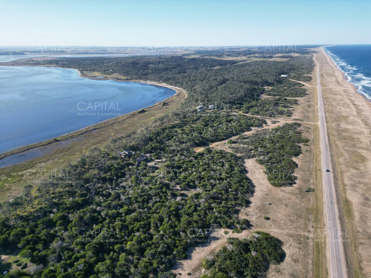 Terreno en El Caracol, propiedad 278630 -Imagen 1