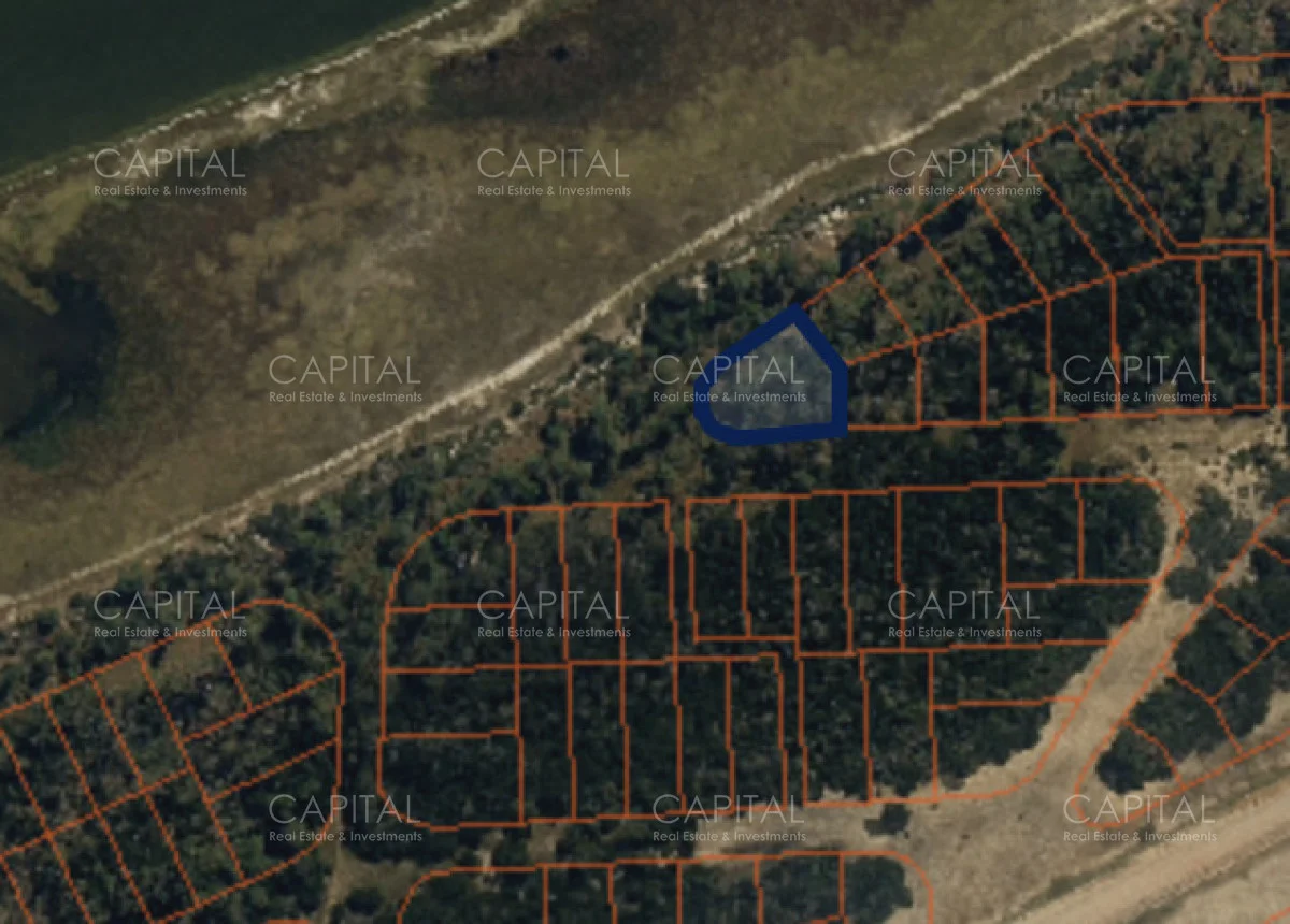 Terreno en El Caracol, propiedad 278630 -Imagen 2