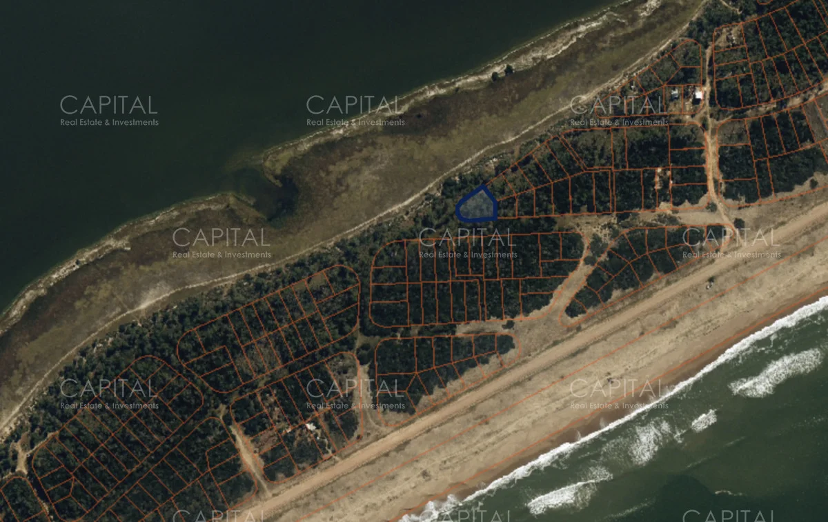 Terreno en El Caracol, propiedad 278630 -Imagen 3