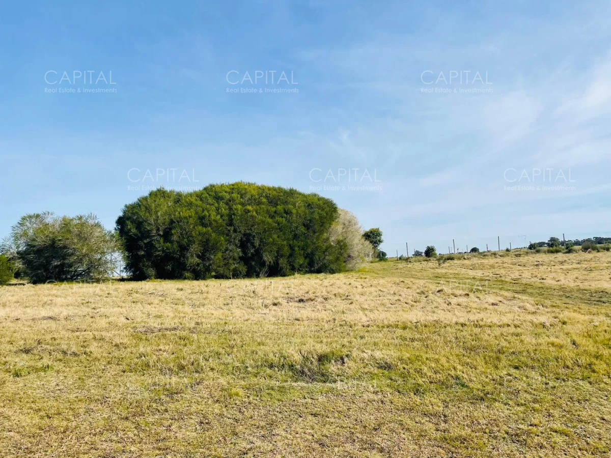 Terreno en José Ignacio, propiedad 278654 -Imagen 4