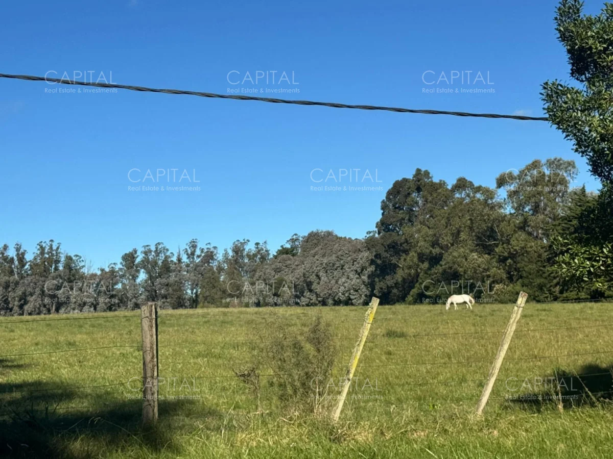 Chacra en La Barra, propiedad 278661 -Imagen 3