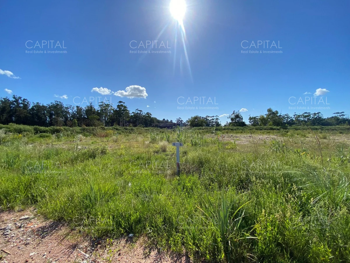 Terreno en La Barra, propiedad 278668 -Imagen 5