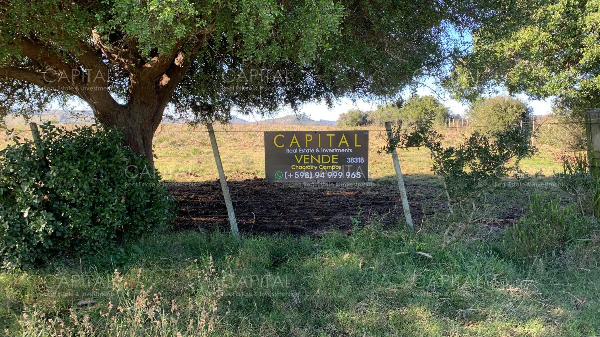 Chacra en Pueblo Eden, propiedad 278688 -Imagen 4