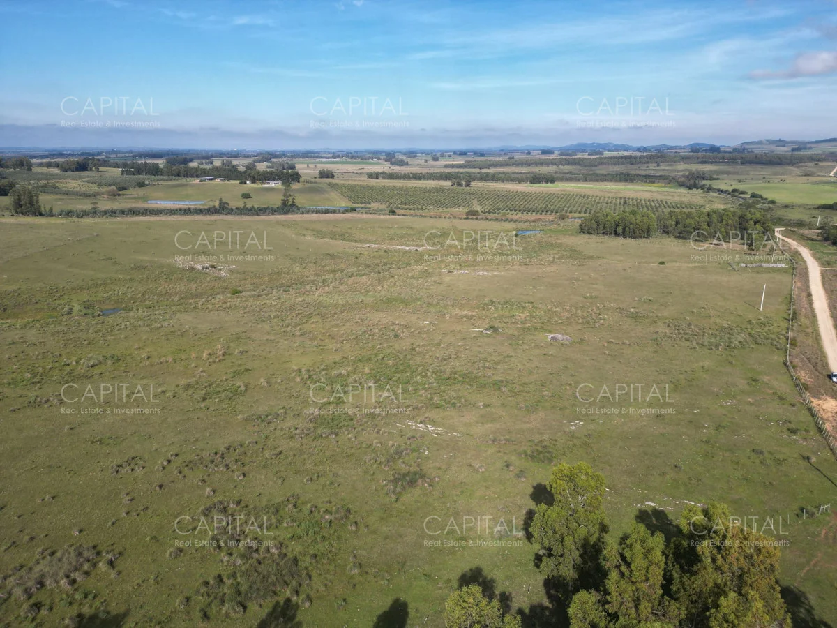 Chacra en San Carlos, propiedad 278700 -Imagen 2