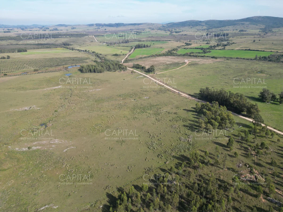 Chacra en San Carlos, propiedad 278700 -Imagen 3