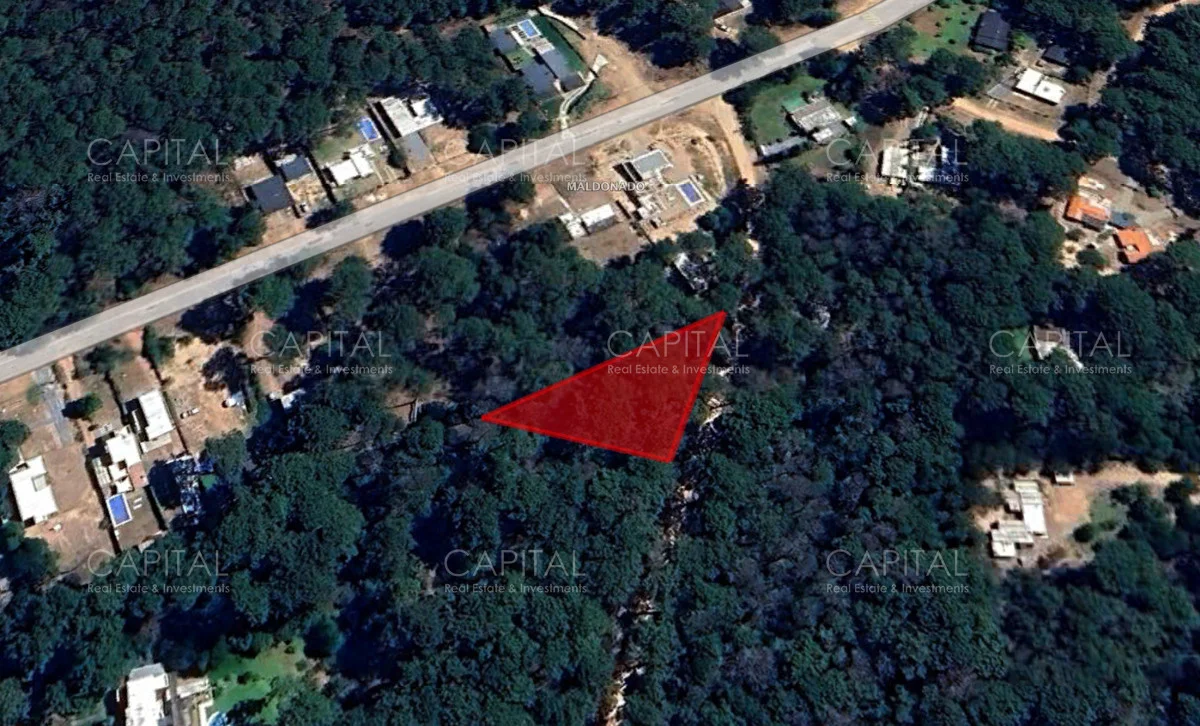 Terreno en Laguna del Sauce, propiedad 278705 -Imagen 2